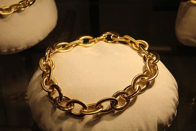 Choisir un collier pour chien luxe au meilleur prix